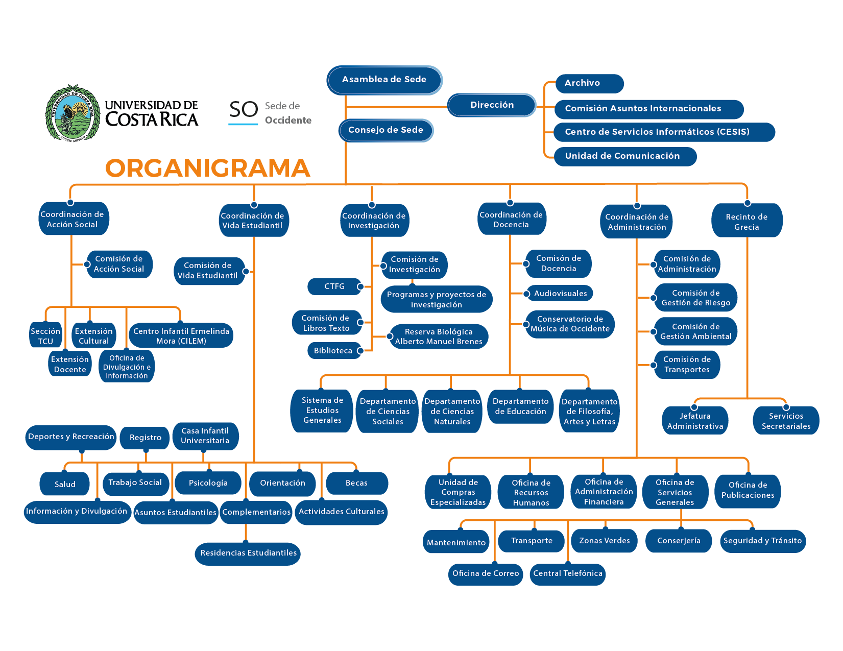 Organigrama