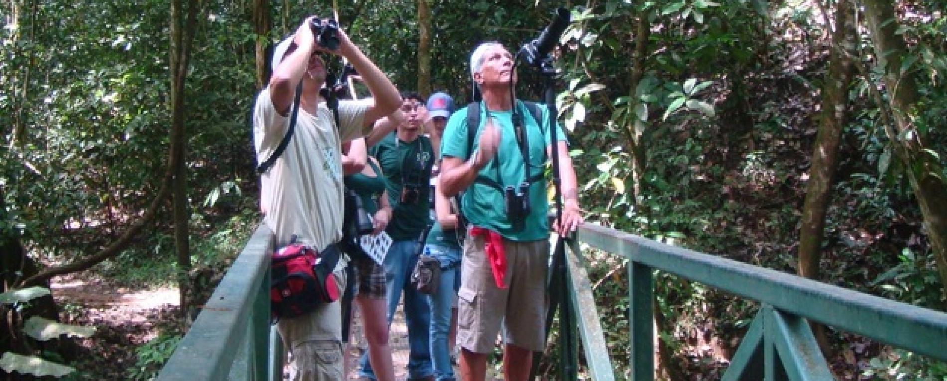 Programa de investigaciones prepara actividades para el Día Mundial del Ambiente