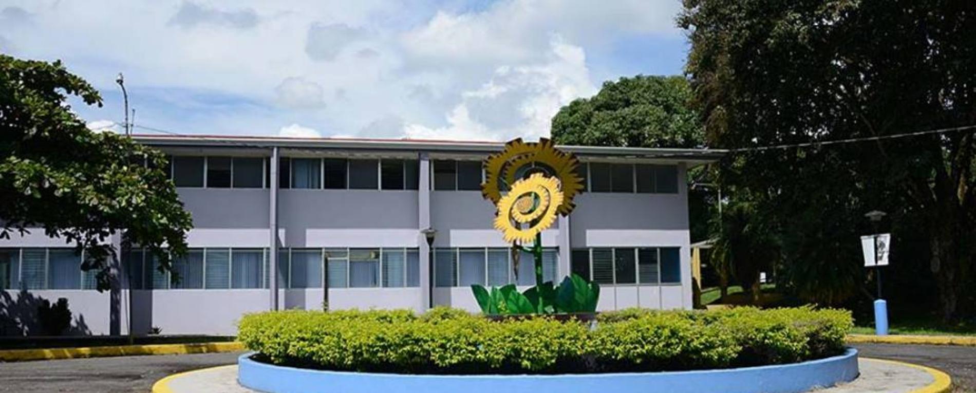 Hace 40 años la Universidad de Costa Rica llegó a Grecia