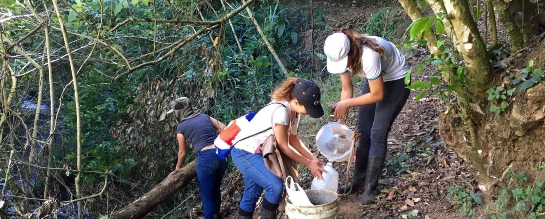 TCU apoya a las comunidades en la obtención de Bandera Azul Ecológica 