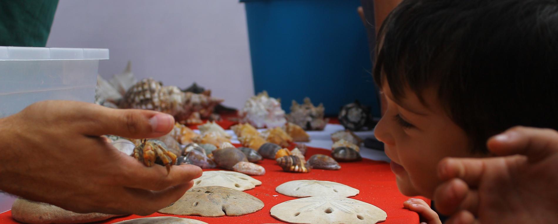 Salvemos el océano: una iniciativa presentada en Expo UCR
