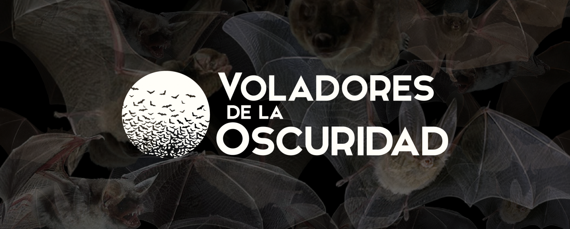 Voladores de la Oscuridad en el Museo Regional de San Ramón