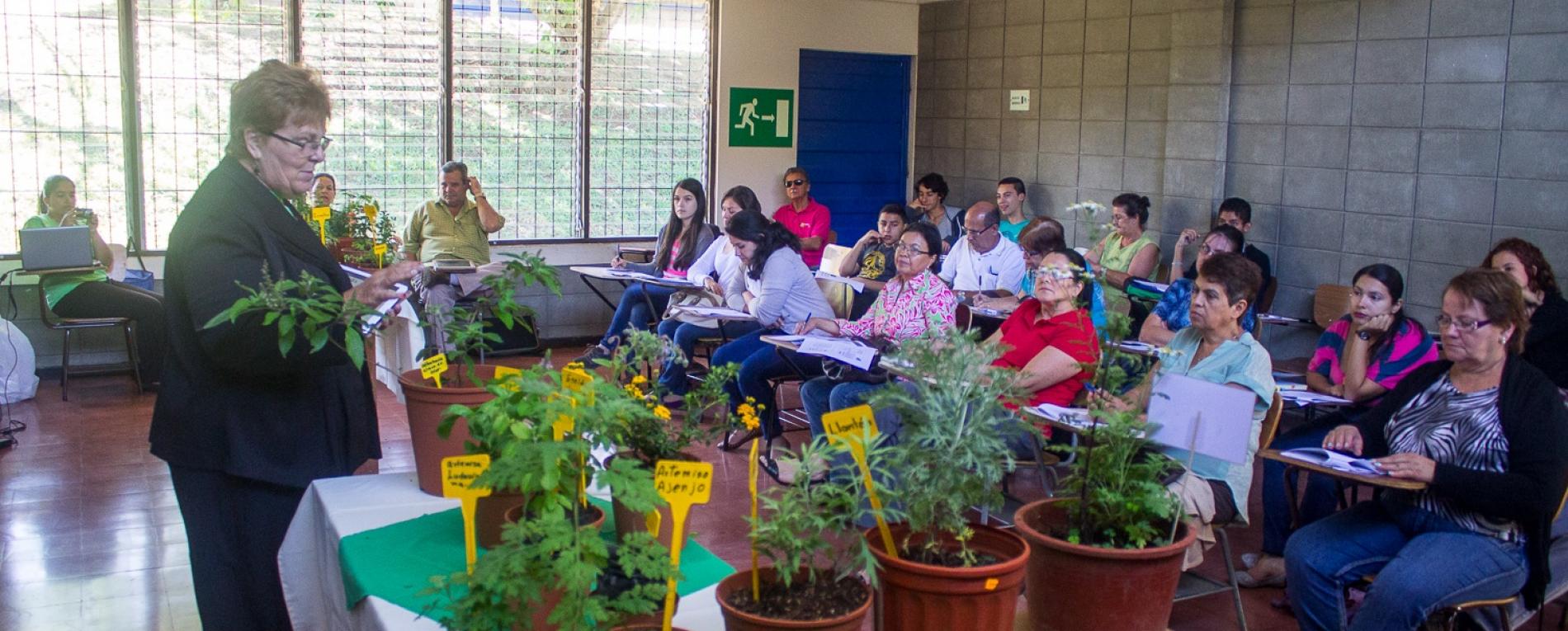Personas de diferentes edades disfrutan los cursos libres