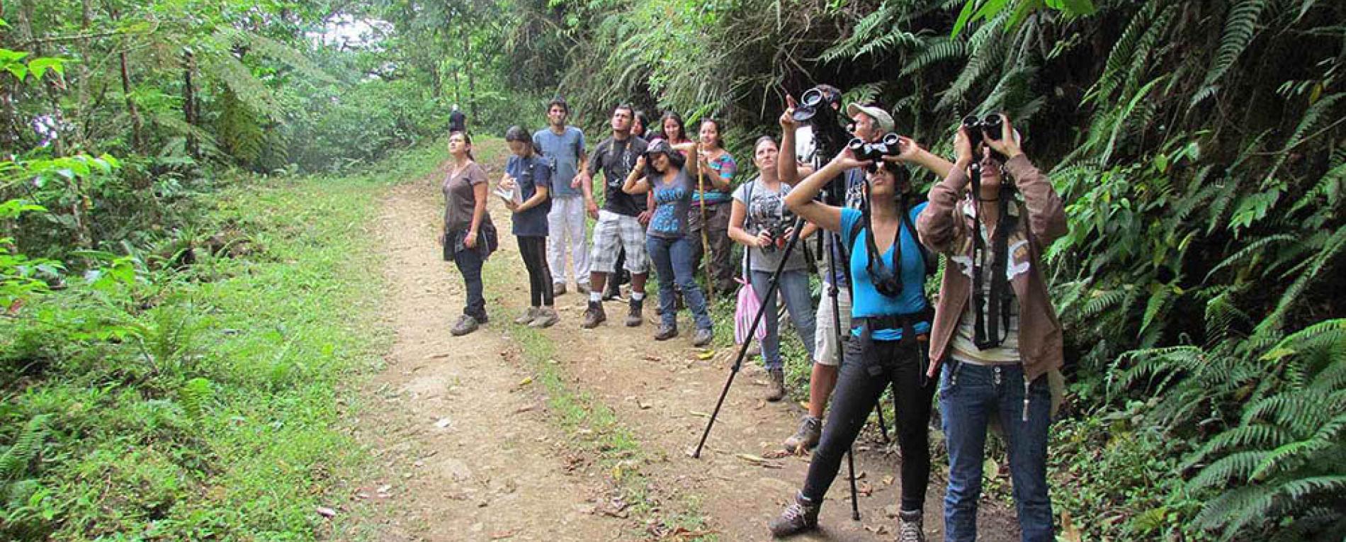 UCR celebrará los 45 años de la Reserva Biológica Alberto Manuel Brenes