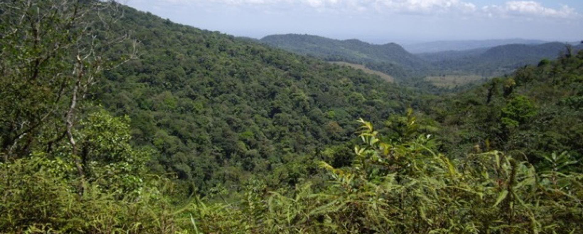 Cambio climático fue el tema escogido