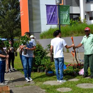 Gestión del Ambiente