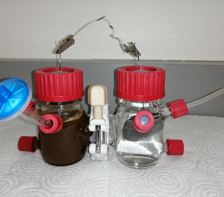 Pretratamiento de agua miel de café para su uso en celdas de combustible