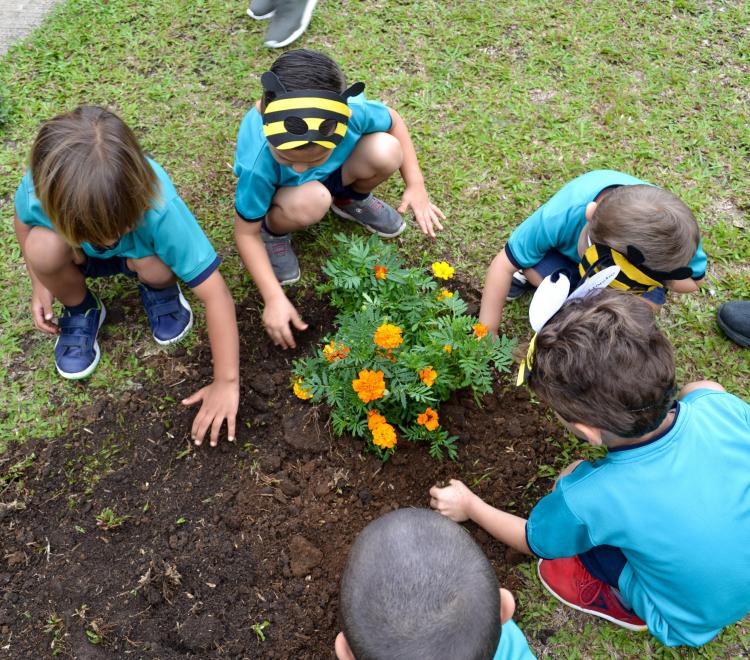 Centro Infantil Laboratorio Ermelinda Mora