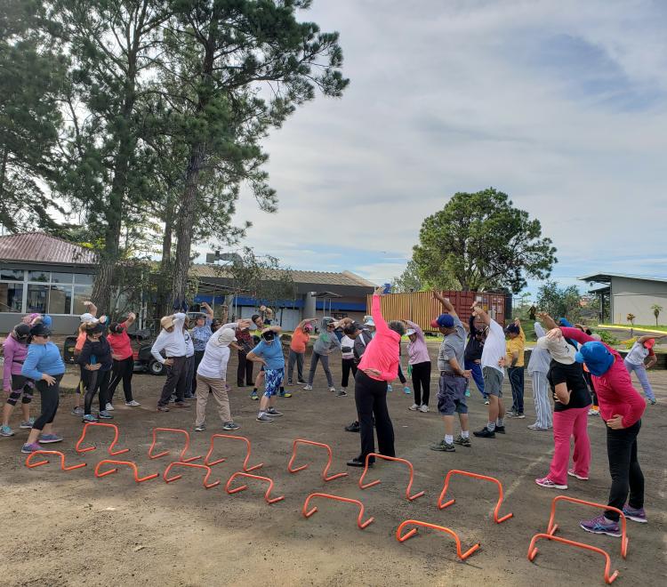 Producciones académicas