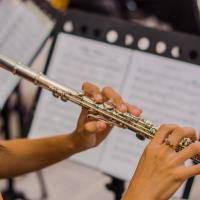Preuniversitario en Artes Musicales