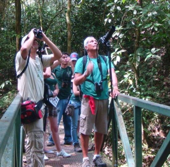 Programa de investigaciones prepara actividades para el Día Mundial del Ambiente