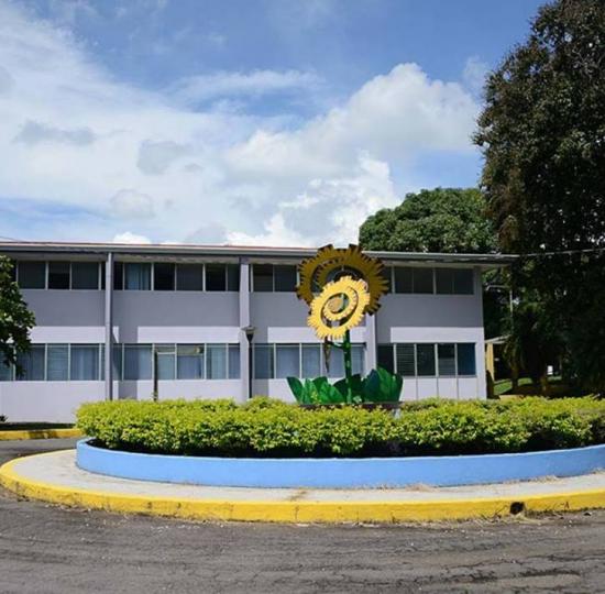 Hace 40 años la Universidad de Costa Rica llegó a Grecia