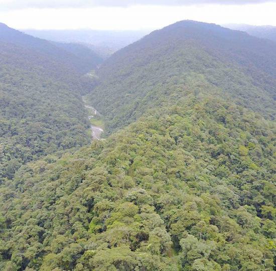 Voz experta: El papel del guardaparques en la Reserva Biológica Alberto Manuel Brenes