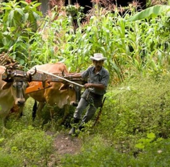 Fotografías muestran la vida campesina desde adentro