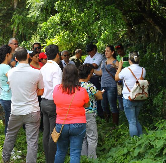 Sede presentó programa para recuperar el Laguito
