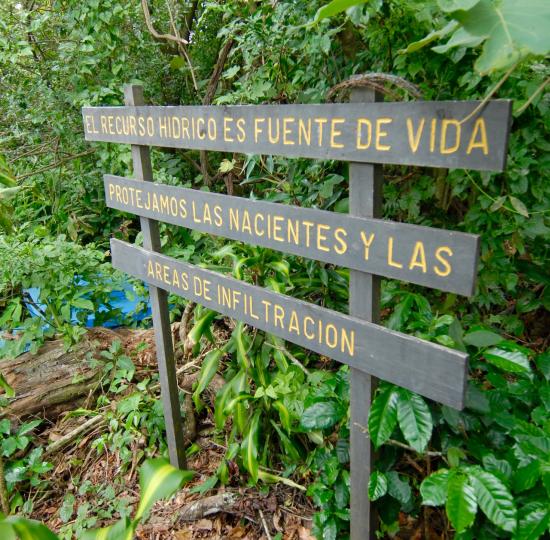Gestión Integral del Recurso Hídrico: la nueva carrera que se ofrecerá en el recinto de Grecia