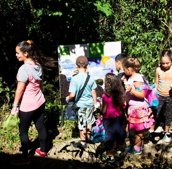 UCR rechaza la violencia con iniciativa humanista