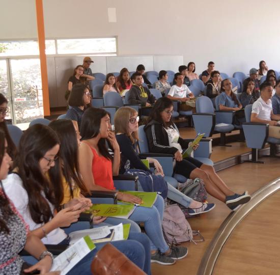Nuevos ingresos podrán participar en los Talleres de Inserción al Ámbito Universitario