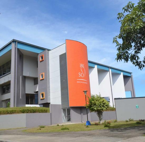 Imagen de la biblioteca de la Sede