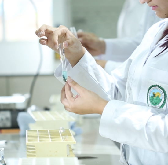 Carrera de Laboratorista Químico genera valiosos aportes en investigación