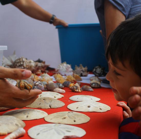 Salvemos el océano: una iniciativa presentada en Expo UCR