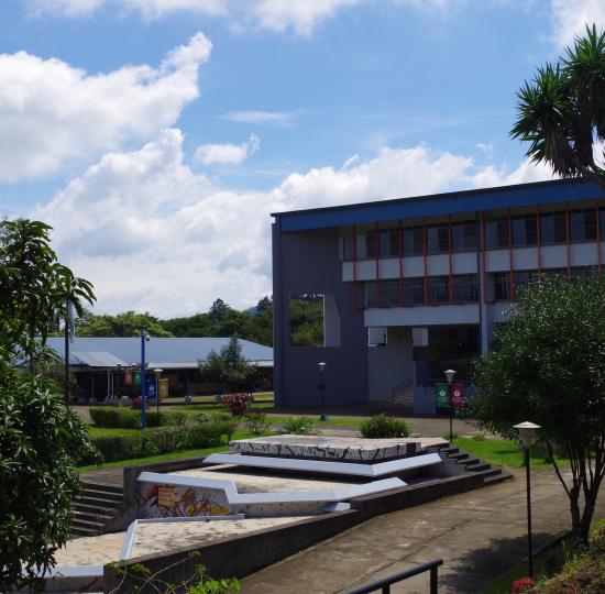 UCR afina detalles para recibir 2018 como el “Año de la Regionalización Universitaria”
