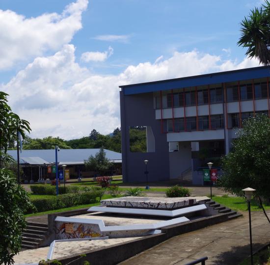Servicios estudiantiles continúan en la Sede pese a  toma de edificio de la Dirección
