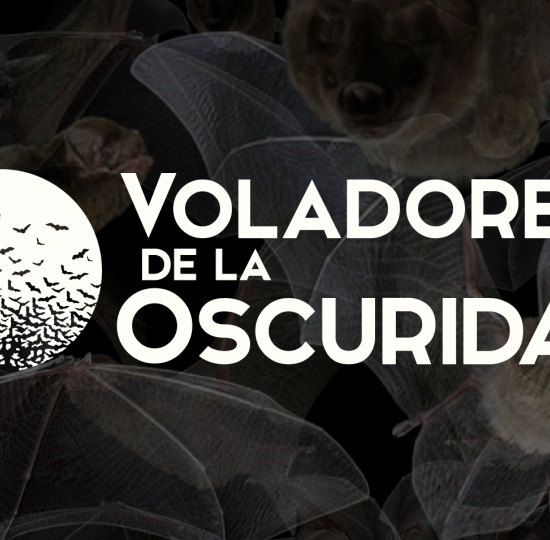 Voladores de la Oscuridad en el Museo Regional de San Ramón