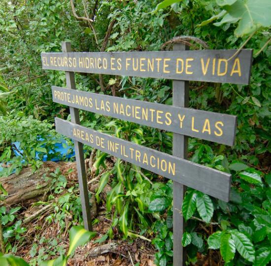 Asociaciones de acueductos rurales de la zona de Occidente reciben apoyo de la UCR por medio de un proyecto de TCU