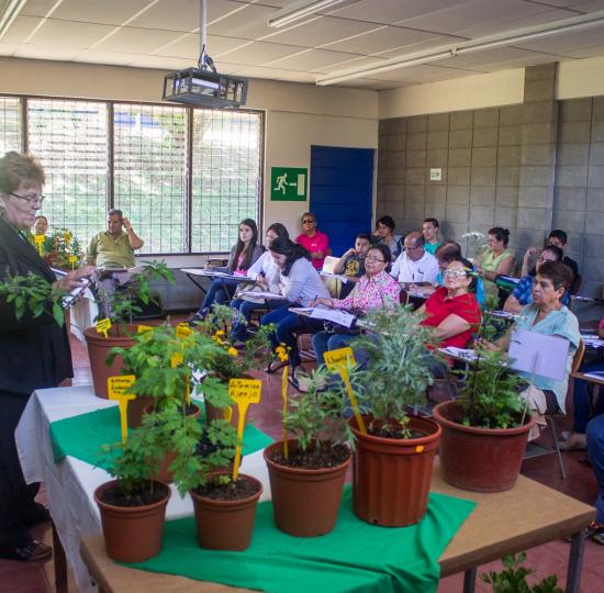 Personas de diferentes edades disfrutan los cursos libres