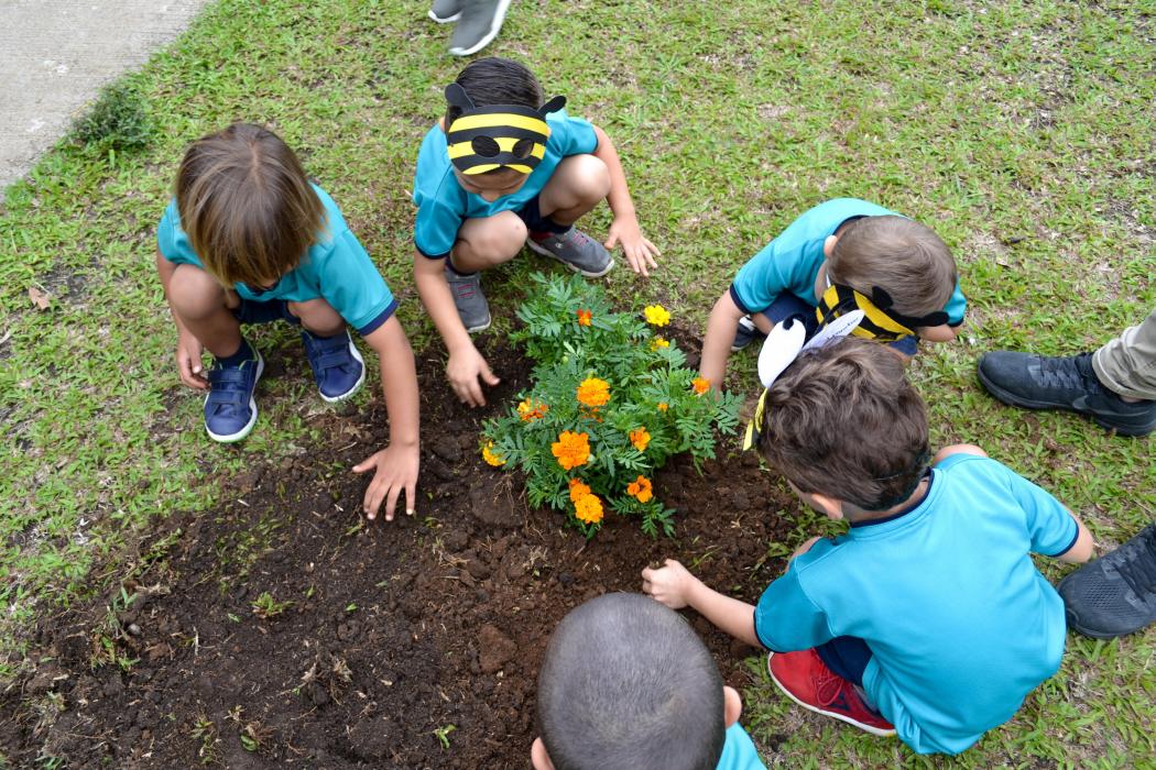 Centro Infantil Laboratorio Ermelinda Mora