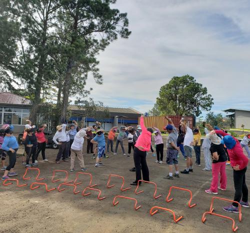 Producciones académicas